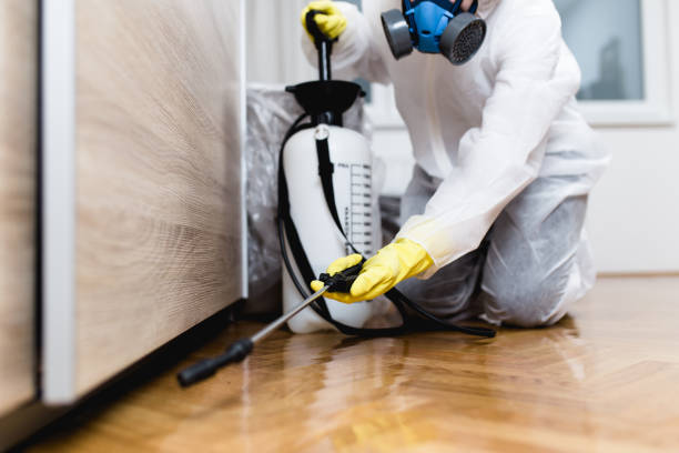 Reliable Roseland, FL Pest Control Solutions