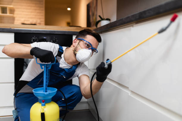Best Mosquito Control Services  in Roseland, FL