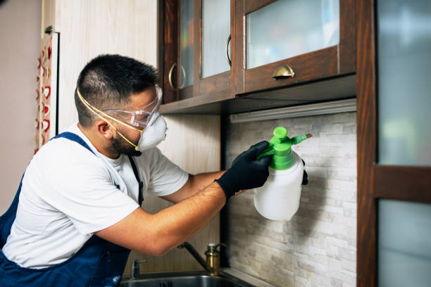 Best Affordable Pest Control Services  in Roseland, FL
