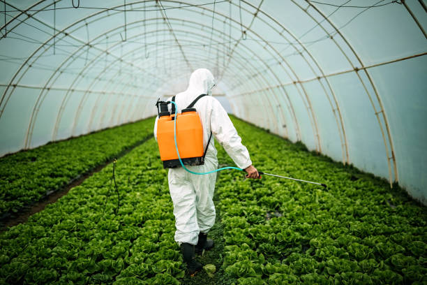 Best Pest Inspection Near Me  in Roseland, FL