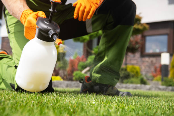 Best Emergency Pest Control  in Roseland, FL