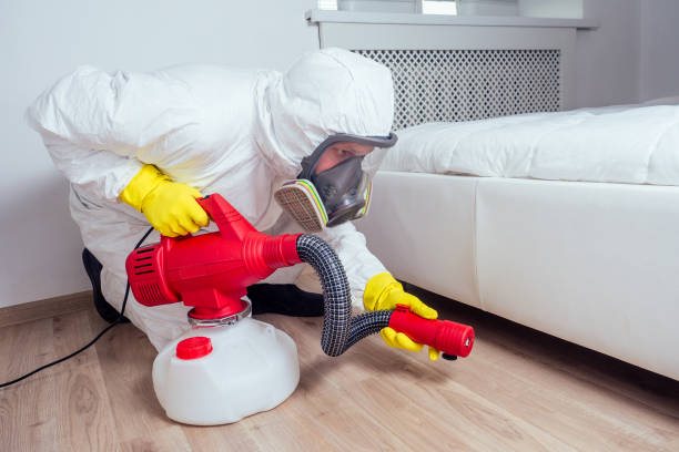 Best Emergency Pest Control  in Roseland, FL