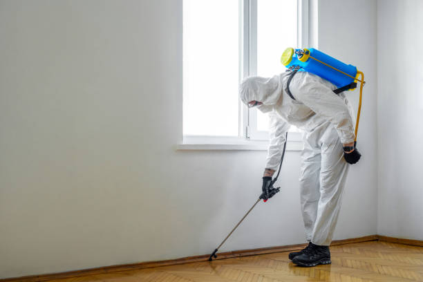 Best Residential Pest Control  in Roseland, FL