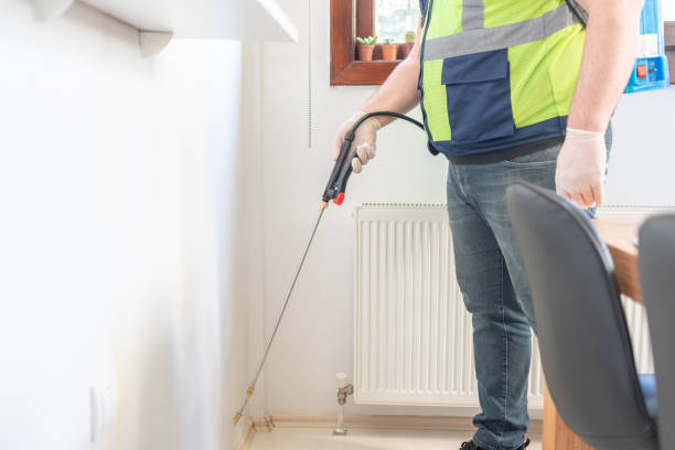 Best Flea Control Services  in Roseland, FL