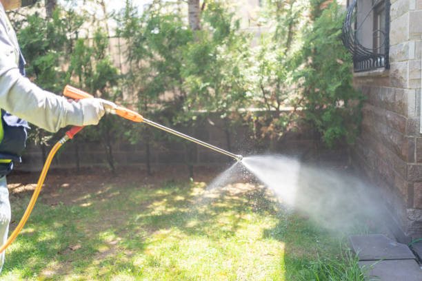 Best Local Pest Control Services  in Roseland, FL