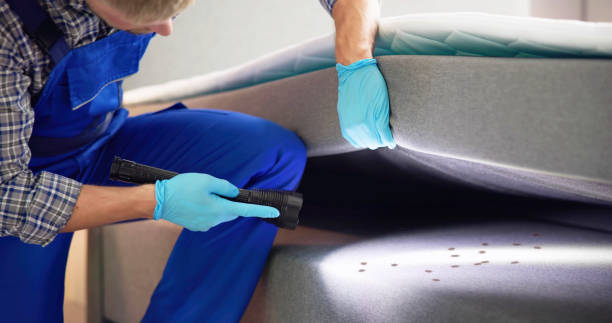Flea Control Services in Roseland, FL