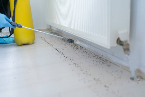 Best Affordable Pest Control Services  in Roseland, FL