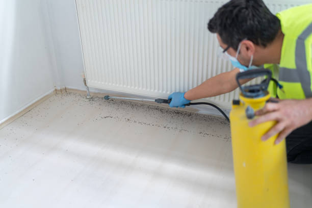 Best Commercial Pest Control Services  in Roseland, FL